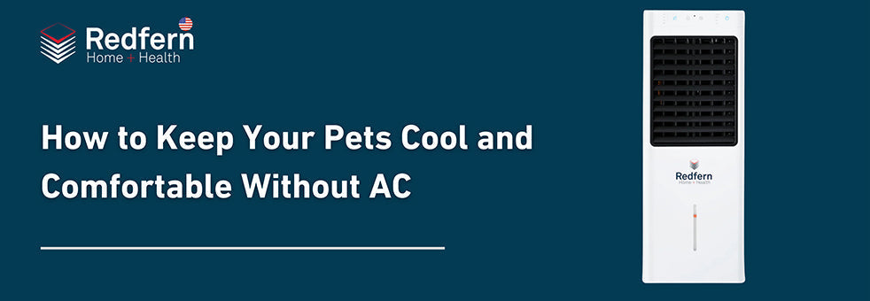 How to Keep Your Pets Cool and Comfortable Without AC