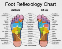 Reflexology and why your feet are so important to your overall health? 2024 Update.