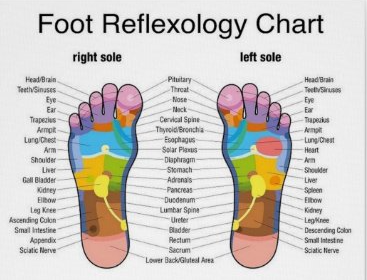 Reflexology and why your feet are so important to your overall health? Here's why.