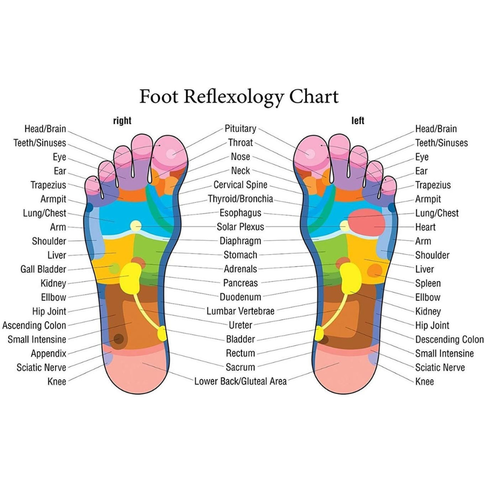 Image of foot reflexology chart