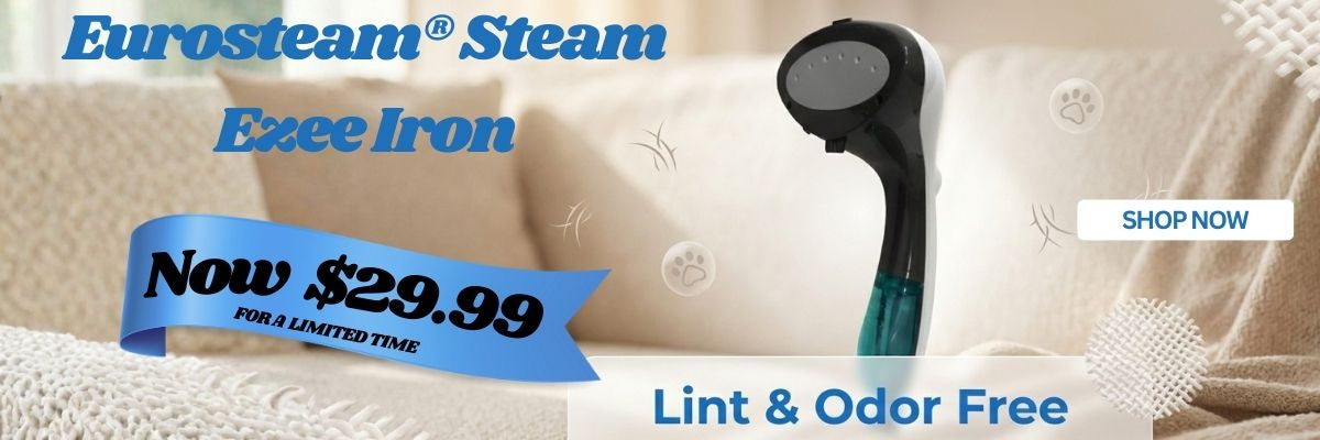 Website banner with sale pricing of $29.99 for the Eurosteam Steam Ezee